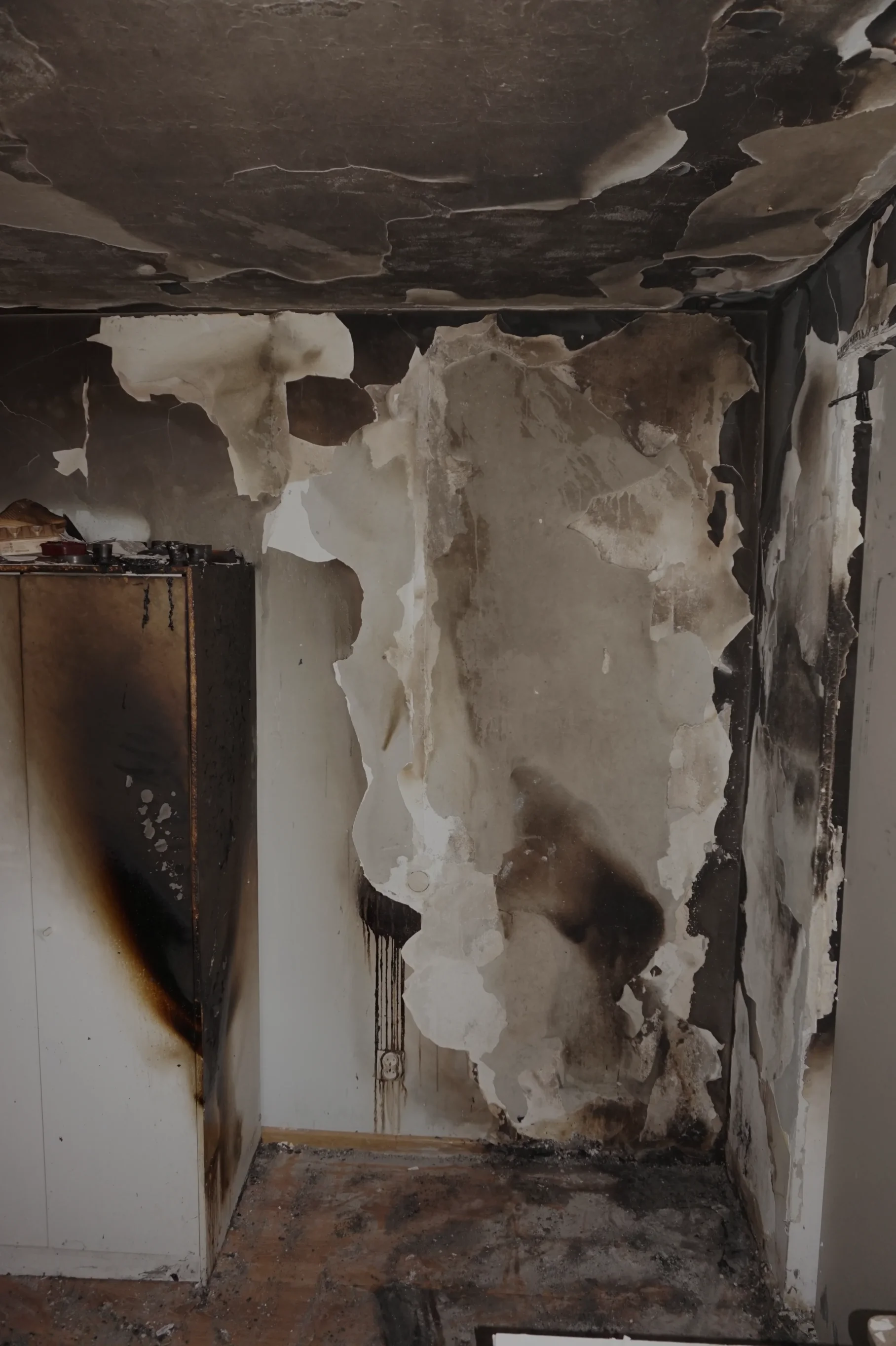 placeholder image-sq